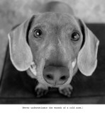 Oliver
