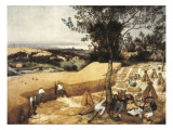 The Harvesters