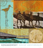 Surf Journal II