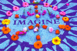 Buy Imagine - Blacklight at AllPosters.com