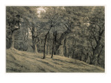 Forest of Fontainebleau