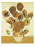 Buy Sunflowers at AllPosters.com