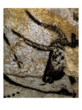 The Cave of Lascaux