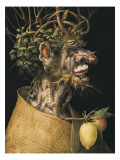 Buy Winter at AllPosters.com