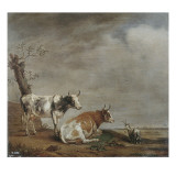 In the Meadow