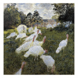 The Turkeys at the Chateau De Rottembourg, Montgeron