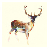 Buy Deer Wearing Gym Socks at AllPosters.com