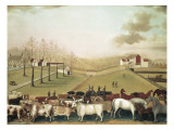 Buy The Cornell Farm at AllPosters.com