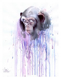 Monkey 7