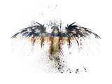 Eagles Become Giclee Print