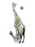 African Moon