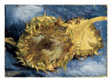 Buy Sunflowers at AllPosters.com