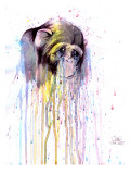 Monkey 4