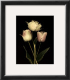 Buy Prelude I at AllPosters.com