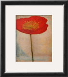 Buy Papavero at AllPosters.com