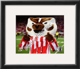 University of Wisconsin Badgers Mascot 2008