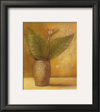 Buy Global Pots II at AllPosters.com