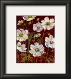 California Cosmos