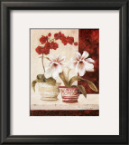 Red Orchids