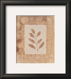 Buy Autumn Texture II at AllPosters.com