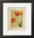 Buy Tangerine Tulips II at AllPosters.com