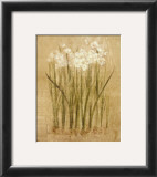 Buy Narcissus at AllPosters.com