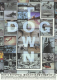 Dogtown and Z-Boys
