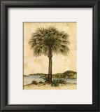Palm Paradise II
