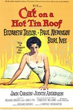 Cat On A Hot Tin Roof