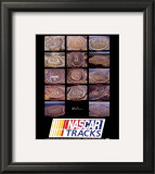 Nascar Tracks