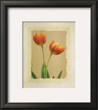 Buy Tangerine Tulips I at AllPosters.com