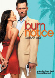 Buy Burn Notice at AllPosters.com