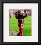 Brutus Buckeye