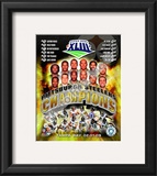 2008 Pittsburgh Steelers SuperBowl XLIII Champions
