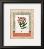 Buy Laurier Rose at AllPosters.com