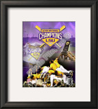 Louisiana State University Tigers 2009 NCAA Baseball Champions