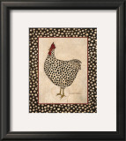 Spotted Chicken