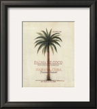 Palma de Coco