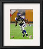 Antoine Winfield 2010 Action