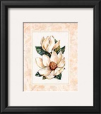 Buy Fleur du Jour, Magnolia at AllPosters.com