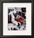 Buy Winter Refuge at AllPosters.com