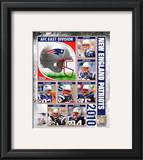 2010 New England Patriots Team Composite