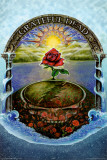 Grateful Dead - Rose