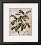 Almonds