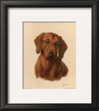 Buy Miniature Dachshund at AllPosters.com