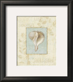Soothing Words Shells IV