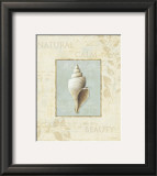 Buy Soothing Words Shells I at AllPosters.com