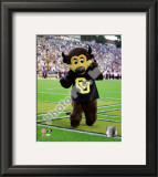 University of Colorado Buffaloes Mascot 2004