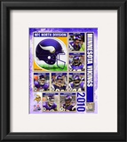 2010 Minnesota Vikings Team Composite