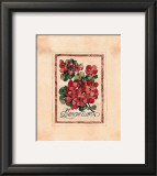 Vintage Geranium